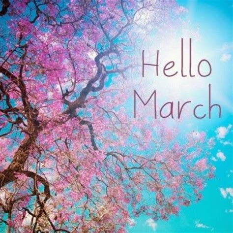 Hello March Hello March Images Hello March Hello March Quotes