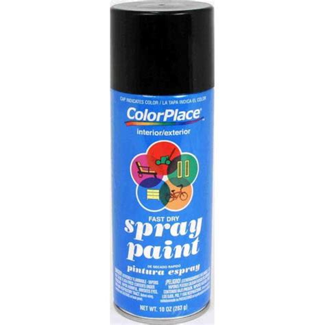Colorplace Flat Spray Paint Black