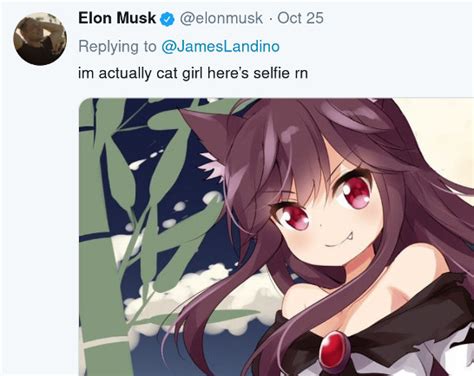 Interestingly, he also updated his twitter bio, which now reads 'metaphork'. Elon Musk is discovering anime