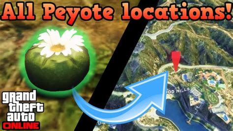 Gta Peyote Plants Location All Location And How To Find Evedonusfilm