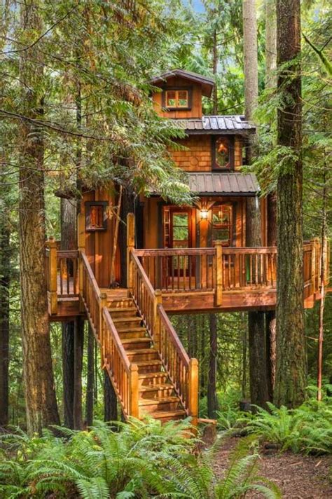 This Gorgeous Tree House Is Our Dream Bunkie Luxury Tree Houses Tree House Plans Tree House