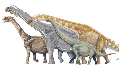 9 Famous Sauropods Names And Characteristics Paleontology World