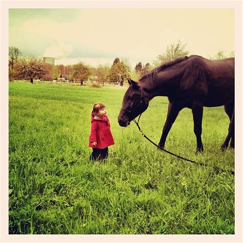 Girl And Horse Renatomitra Flickr