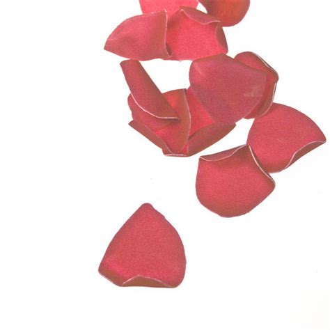 Bag Of Decorative Light Pink Rose Petals