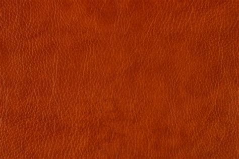1300 Quilted Leather Stock Photos Pictures And Royalty Free Images