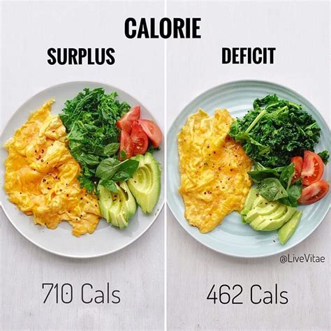 Famous Healthy Calorie Deficit Meals References The Recipe Box