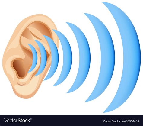 Human Ear With Sound Wave Royalty Free Vector Image