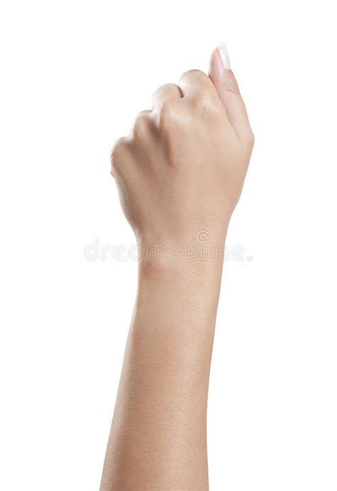 744 Beautiful Female Hand Clenched Fist Stock Photos Free And Royalty