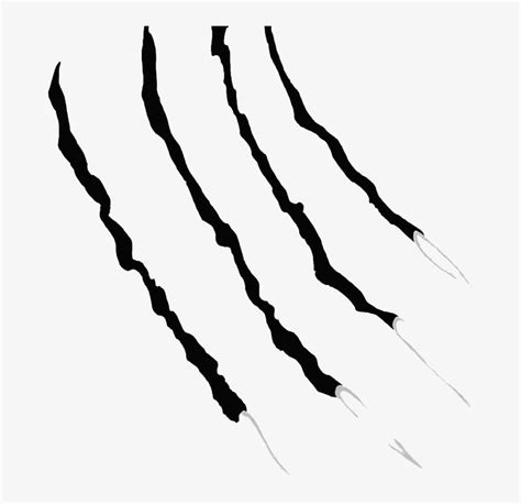 Tiger Claws Clip Art Library