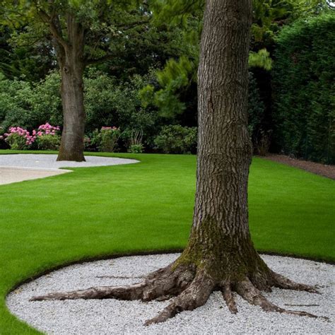 Pin By Johann Van Biljon On Grass Is Always Greener Landscaping