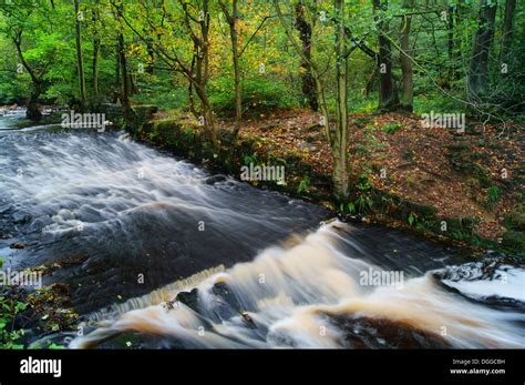 Uksouth Yorkshiresheffieldrivelin Valleyriver Rivelinroscoe Weir