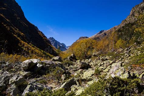 Colorful Autumn Landscape In The Caucasus Mountains Sunny Morning