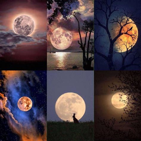 Welcome To Nature Welcomet0nature Twitter Moon Art Beautiful