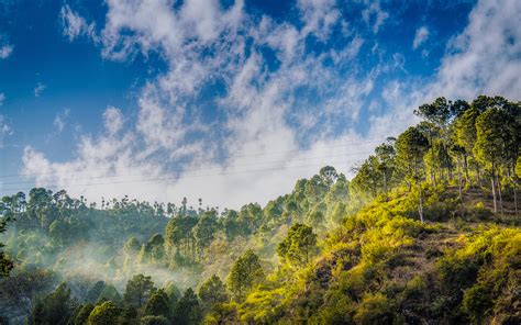 Trees Forest Sunrise Hills Fog Mist Haze Sky Clouds Wallpaper