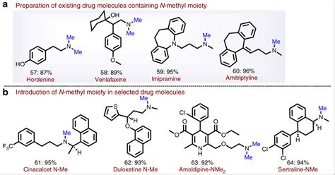 Synthesis Of Pharmaceutical N N Di Methylamines From The Download Scientific Diagram