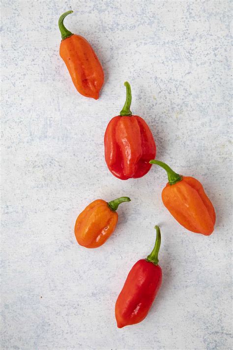 Aji Dulce Mild Caribbean Peppers Chili Pepper Madness
