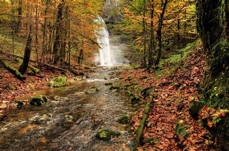 Waterfall River Fall Forest Trees Nature Autumn Wallpapers Hd