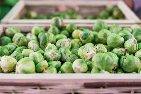 Organic Brussel Sprouts Vegetables At A Street Food Market Fair