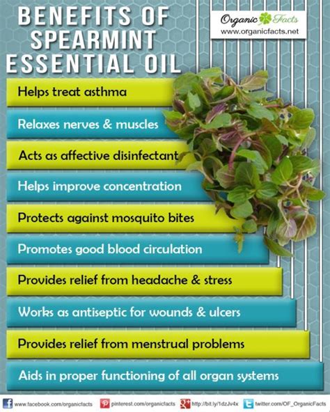 Yes you have always ingested oils and just haven't realized it. Spearmint Essential Oil! One of my favorites for ...