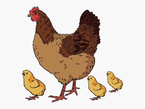 Chicken Clipart Realistic Pictures On Cliparts Pub Images