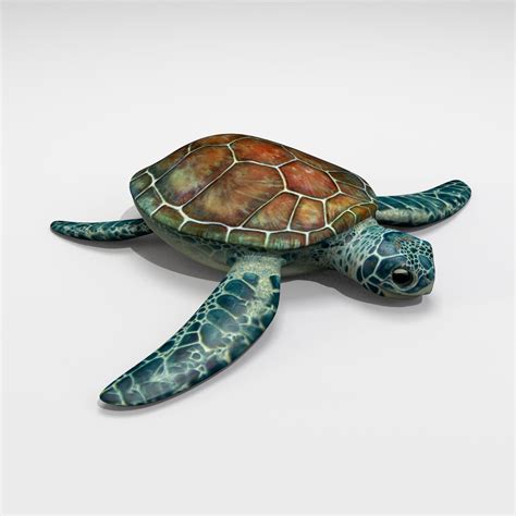 Low Poly Turtle Free 3D Model C4d Free3D