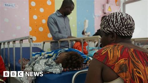 Angolas Front Line Against Yellow Fever Bbc News