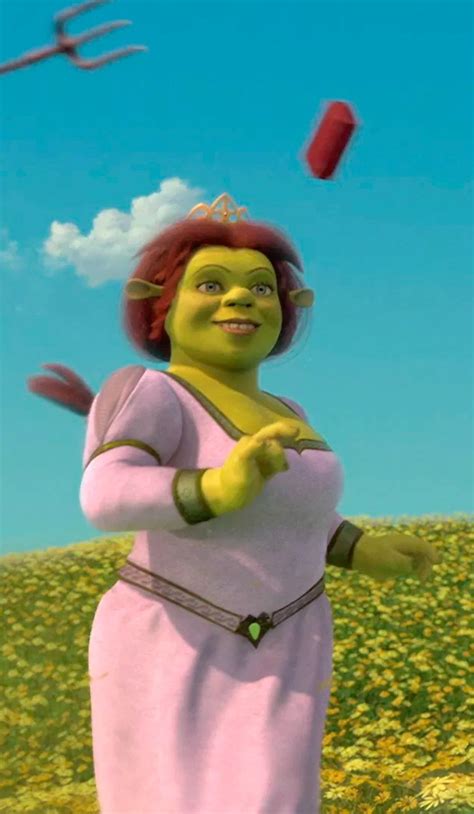 Shrek Fiona Beach