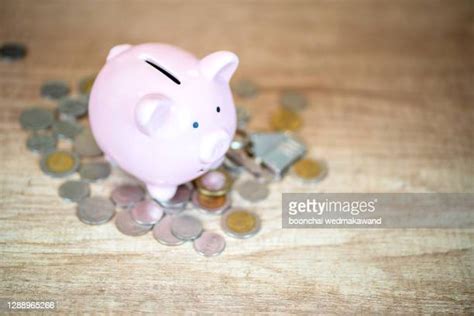 Pig Pile Photos And Premium High Res Pictures Getty Images