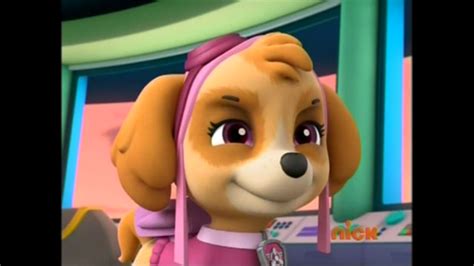 Paw Patrol Images Skye The Cockapoo Wallpaper And