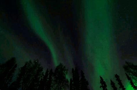 Northern Lights Aurora Borealis  Find And Share On Giphy
