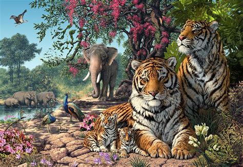 Tiger Sanctuary By Mgl Meiklejohn Graphics Licensing Animals Diamond