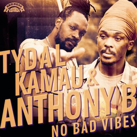 Tydal Kamau And Anthony B No Bad Vibes Riddim World