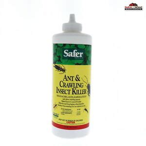 Since it works as a mechanical killer to kill insects on contact. Safer Brand Ant & Crawling Insect Killer 7oz Diatomaceous ...
