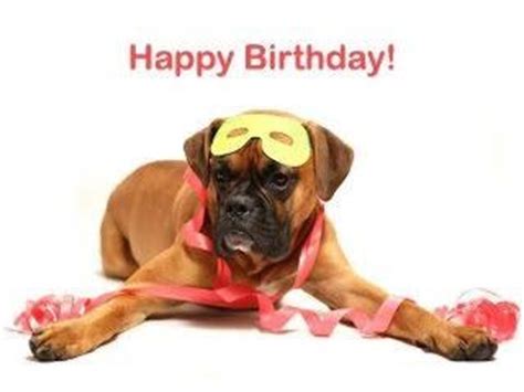We did not find results for: Boxer dog | BOXERS ("BIRTHDAYS") ....... | Pinterest ...