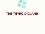 T2 Thyroid Hormone Side Effects