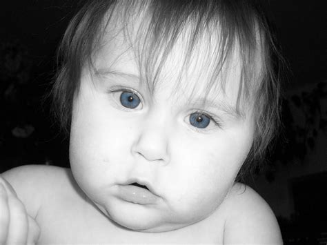 002 Baby Blue Eyes Dshs Photos Flickr