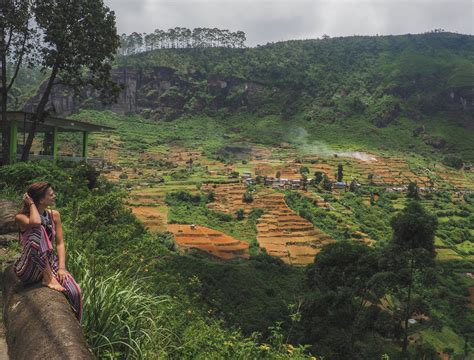 The Best Ceylon Tea Plantations In Sri Lanka Adventure Catcher