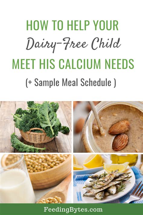 Pin On Calcium Rich Foods Dairy And Dairy Free