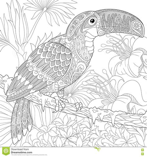 Coloriage Toucan Coloring Pages