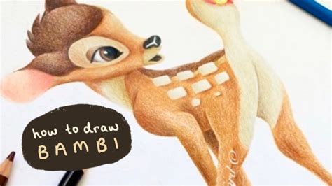 How To Draw Bambi With Coloured Pencils Youtube