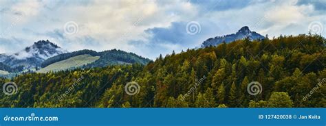 Beautiful Panoramic Landscape With Colorful Forests Alpine Mountains