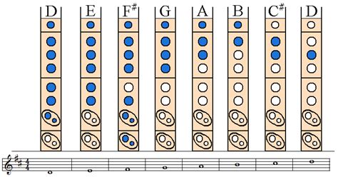 Soprano Recorder Scales D Major Diatonic Scale