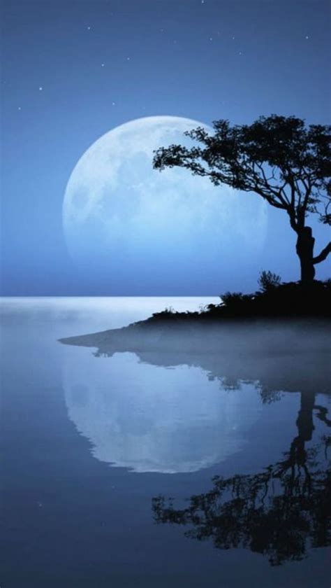 1366x768px 720p Free Download Big Moon Full Moon Tree Island