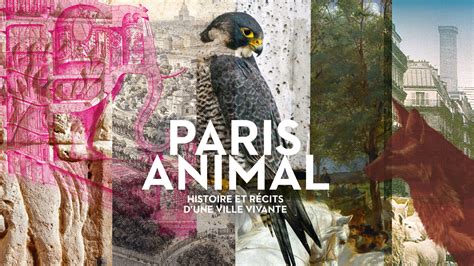 Paris Animal Expositions Pavillon De Larsenal