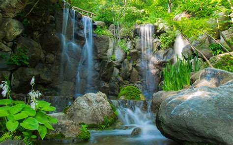 River Waterfall Rocks Plants Trees Nature Wallpaper