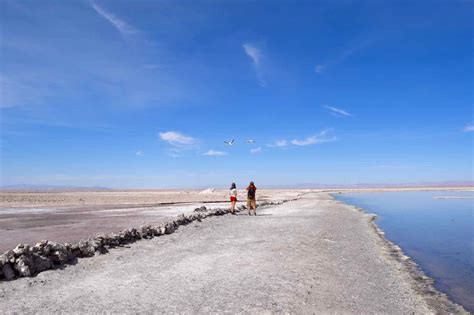 A Tour Of Atacamas Salt Flats And Altiplanic Lagoons Chile 2023 Guide