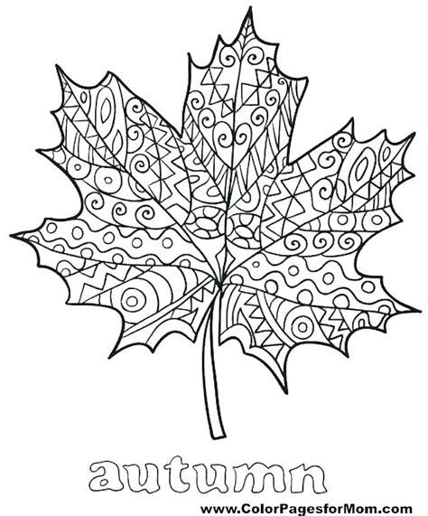 Jungle Leaves Coloring Pages at GetColorings.com | Free printable