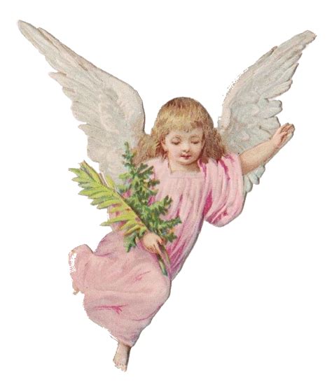 Cherub Angel Desktop Angel Baby Transparent Background Png Clipart