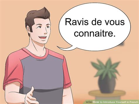 We did not find results for: How to Introduce Yourself in French: 8 Steps (with Pictures)