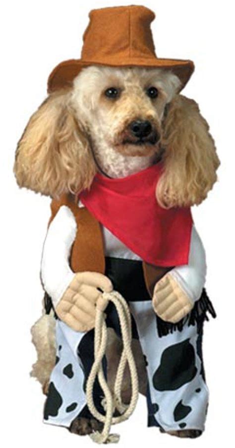Pet Cowboy Dog Halloween Costume Size Xsmall You Can Discover Even